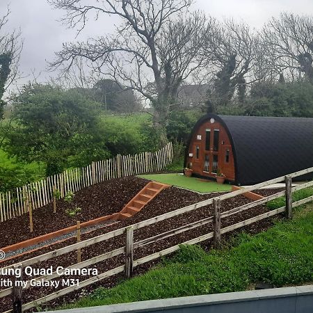 Ivy Hill Glamping Pod Apartment Ennis Ngoại thất bức ảnh