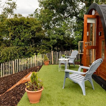 Ivy Hill Glamping Pod Apartment Ennis Ngoại thất bức ảnh