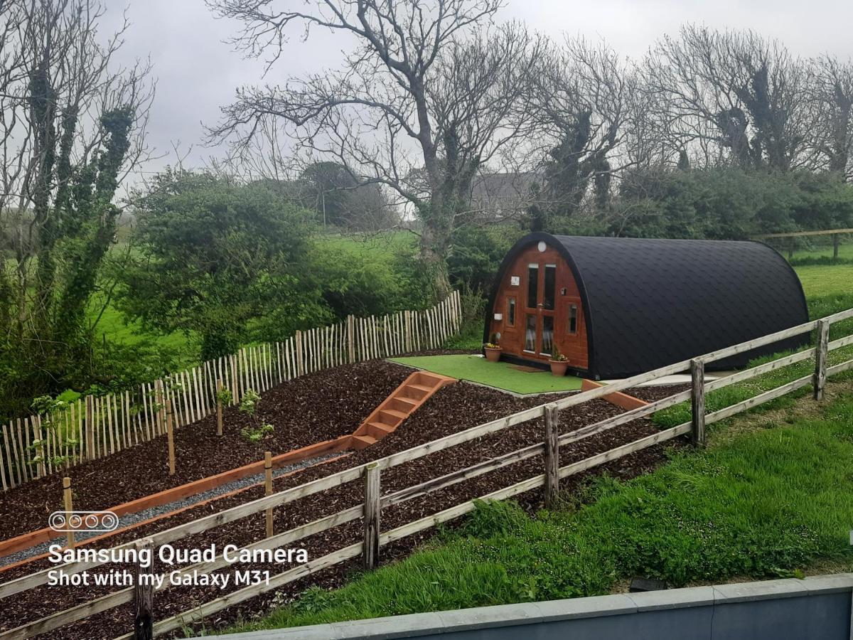 Ivy Hill Glamping Pod Apartment Ennis Ngoại thất bức ảnh