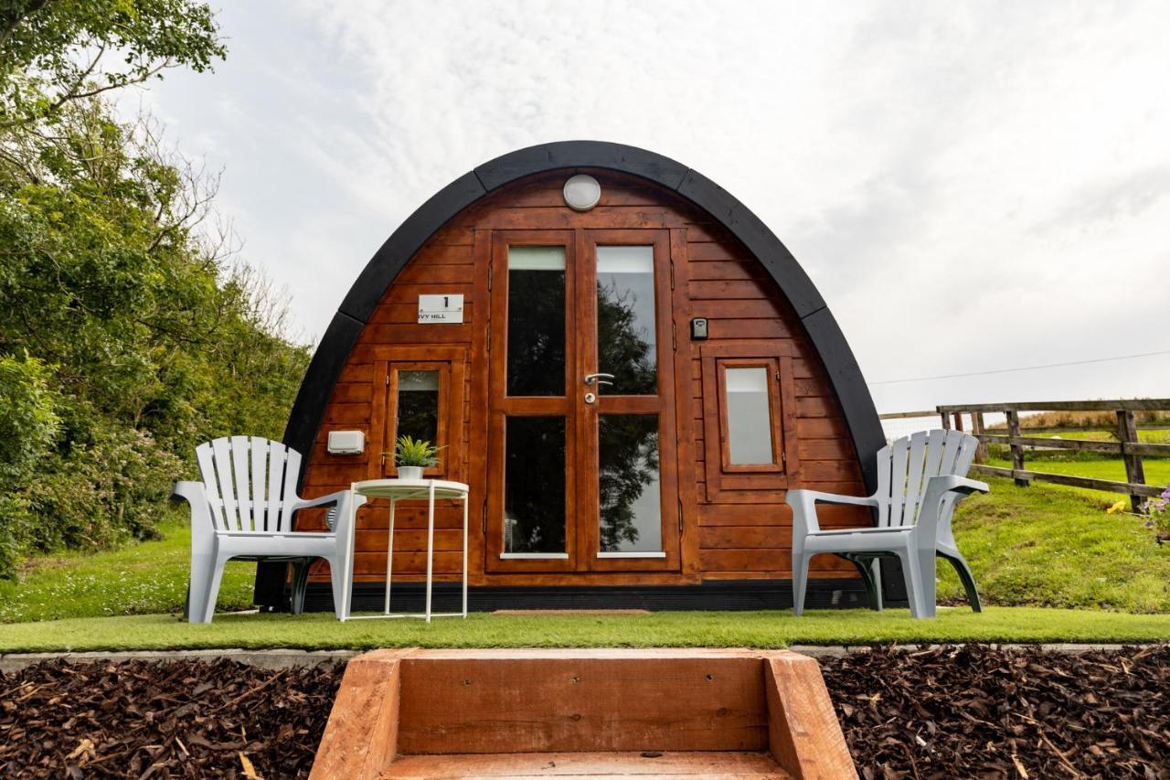Ivy Hill Glamping Pod Apartment Ennis Ngoại thất bức ảnh