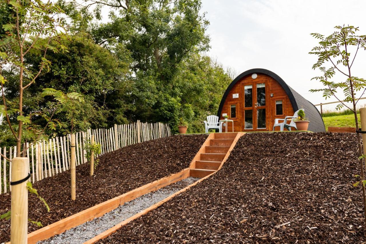 Ivy Hill Glamping Pod Apartment Ennis Ngoại thất bức ảnh