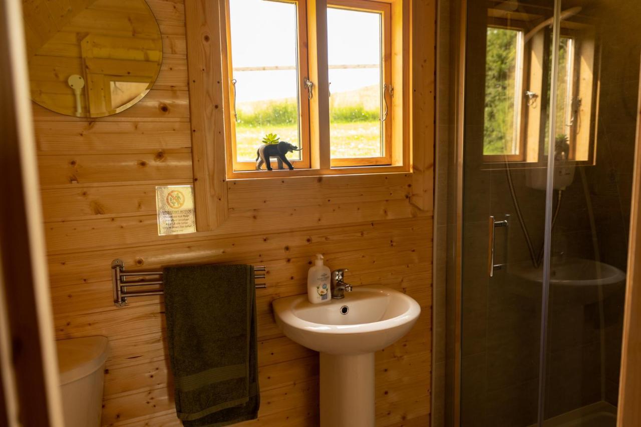 Ivy Hill Glamping Pod Apartment Ennis Ngoại thất bức ảnh
